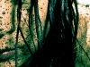 Mud_9335-1