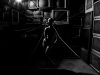 Cant_Stop_The_Signal_0374